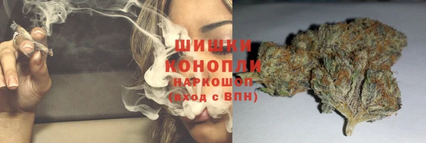 PSILOCYBIN Иннополис
