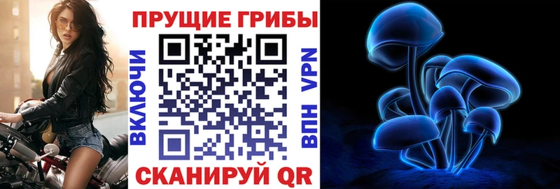 Псилоцибиновые грибы Psilocybine cubensis Зеленодольск